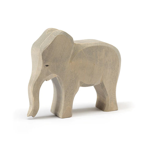 Ostheimer Elephant Female